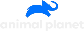 Animal Planet
